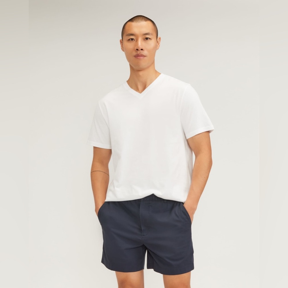 NWT Everlane The Organic Cotton V-Neck Tee